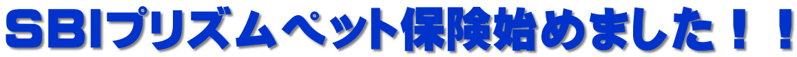 SBIvYybgیn߂܂II